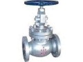 globe-valves-suppliers-in-kolkata-small-0