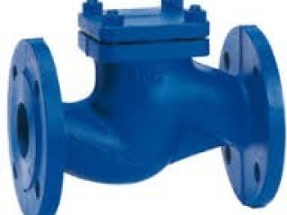 NON RETURN ( NRV ) VALVES SUPPLIERS IN KOLKATA